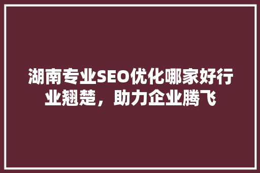 湖南专业SEO优化哪家好行业翘楚，助力企业腾飞