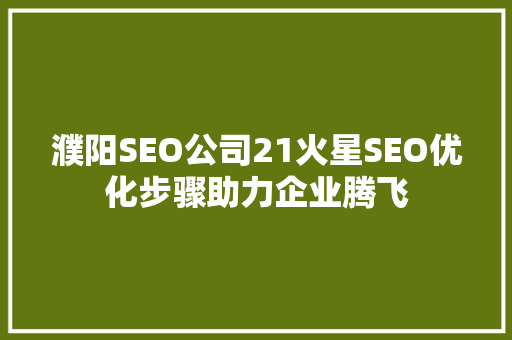 濮阳SEO公司21火星SEO优化步骤助力企业腾飞