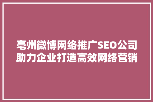 亳州微博网络推广SEO公司助力企业打造高效网络营销步骤