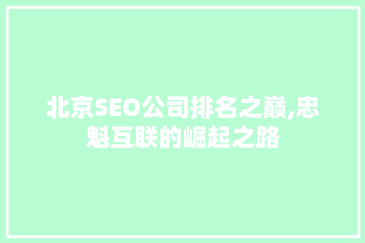 北京SEO公司排名之巅,忠魁互联的崛起之路