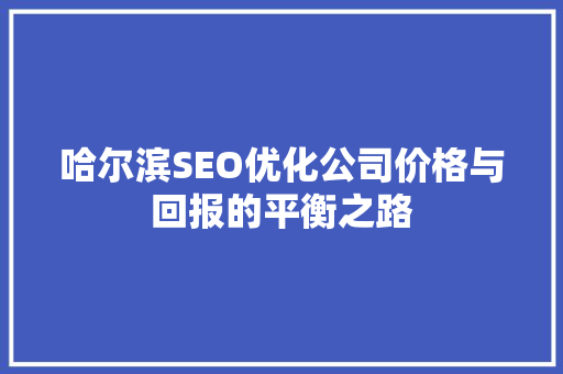 哈尔滨SEO优化公司价格与回报的平衡之路