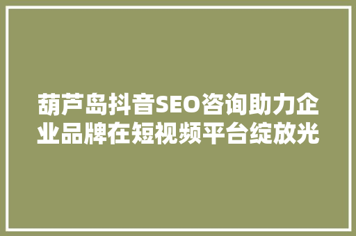 葫芦岛抖音SEO咨询助力企业品牌在短视频平台绽放光彩  第1张