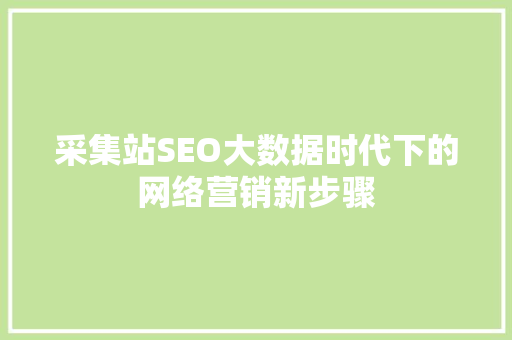 采集站SEO大数据时代下的网络营销新步骤
