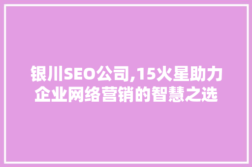 银川SEO公司,15火星助力企业网络营销的智慧之选