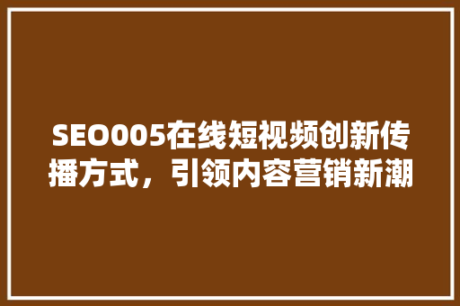 SEO005在线短视频创新传播方式，引领内容营销新潮流