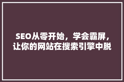 SEO从零开始，学会霸屏，让你的网站在搜索引擎中脱颖而出