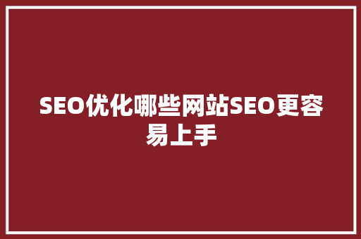 SEO优化哪些网站SEO更容易上手