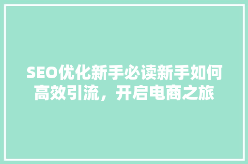 SEO优化新手必读新手如何高效引流，开启电商之旅