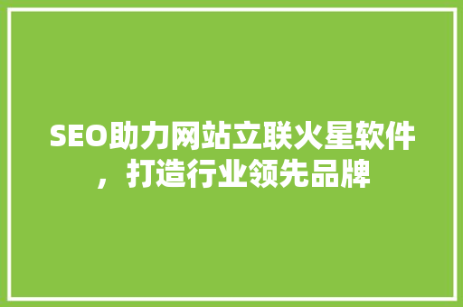 SEO助力网站立联火星软件，打造行业领先品牌