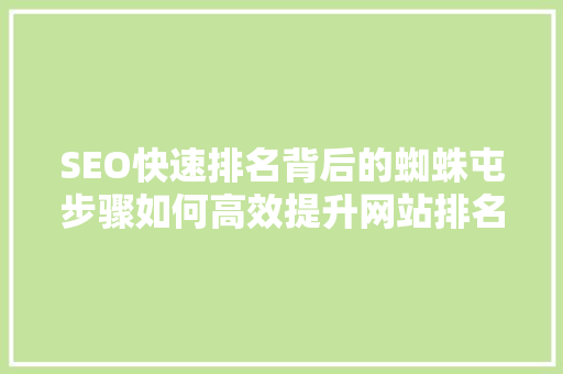 SEO快速排名背后的蜘蛛屯步骤如何高效提升网站排名