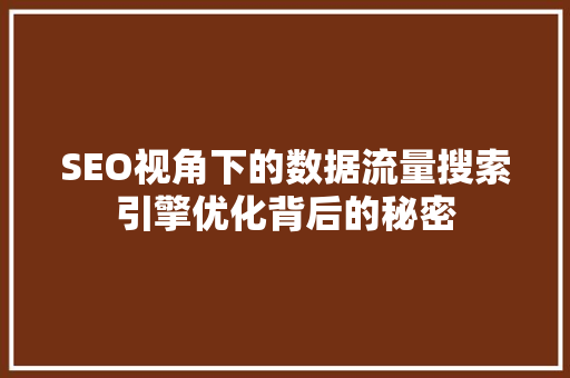 SEO视角下的数据流量搜索引擎优化背后的秘密