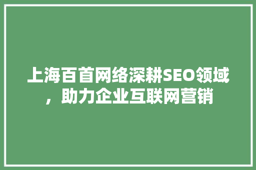 上海百首网络深耕SEO领域，助力企业互联网营销