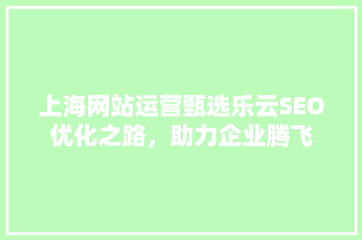上海网站运营甄选乐云SEO优化之路，助力企业腾飞
