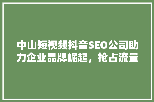中山短视频抖音SEO公司助力企业品牌崛起，抢占流量红利