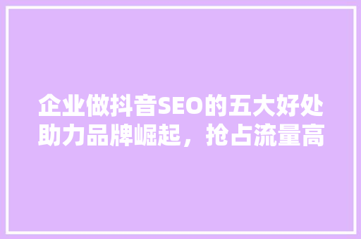 企业做抖音SEO的五大好处助力品牌崛起，抢占流量高地
