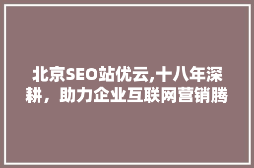 北京SEO站优云,十八年深耕，助力企业互联网营销腾飞