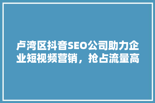 卢湾区抖音SEO公司助力企业短视频营销，抢占流量高地