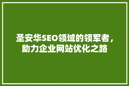 圣安华SEO领域的领军者，助力企业网站优化之路