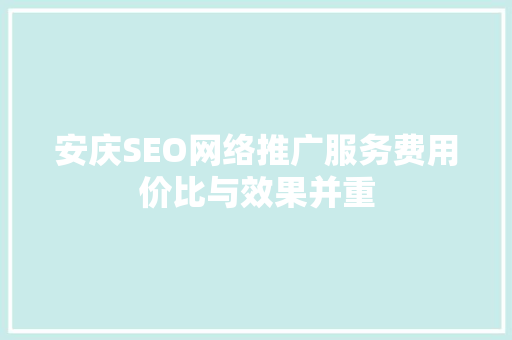 安庆SEO网络推广服务费用价比与效果并重