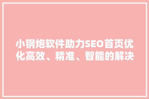 小钢炮软件助力SEO首页优化高效、精准、智能的解决方法