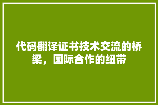 代码翻译证书技术交流的桥梁，国际合作的纽带