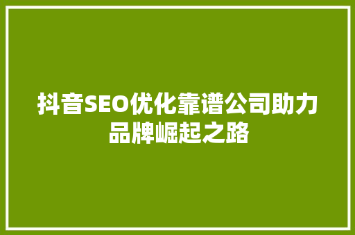 抖音SEO优化靠谱公司助力品牌崛起之路