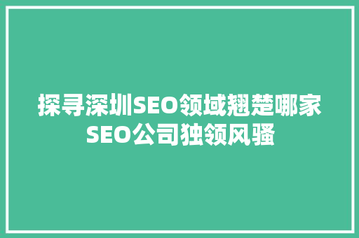探寻深圳SEO领域翘楚哪家SEO公司独领风骚