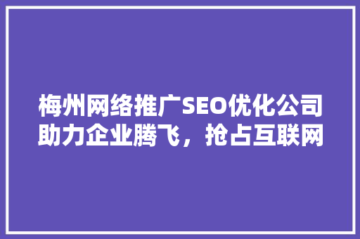梅州网络推广SEO优化公司助力企业腾飞，抢占互联网蓝海