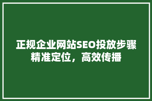 正规企业网站SEO投放步骤精准定位，高效传播