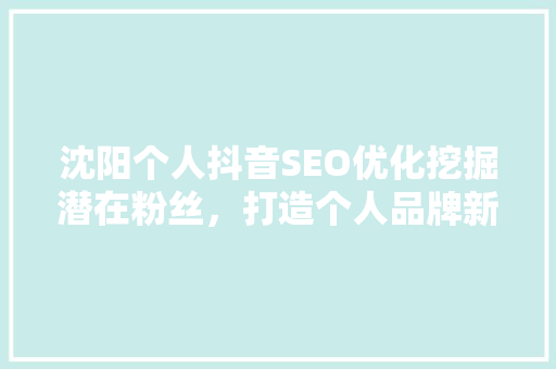 沈阳个人抖音SEO优化挖掘潜在粉丝，打造个人品牌新高度