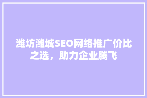 潍坊潍城SEO网络推广价比之选，助力企业腾飞