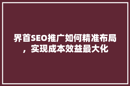 界首SEO推广如何精准布局，实现成本效益最大化