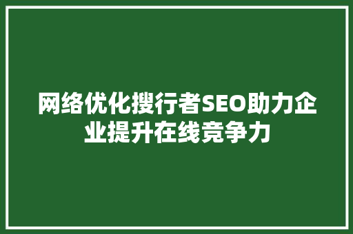 网络优化搜行者SEO助力企业提升在线竞争力