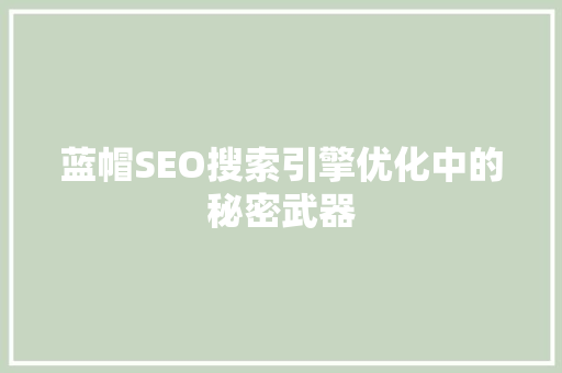蓝帽SEO搜索引擎优化中的秘密武器