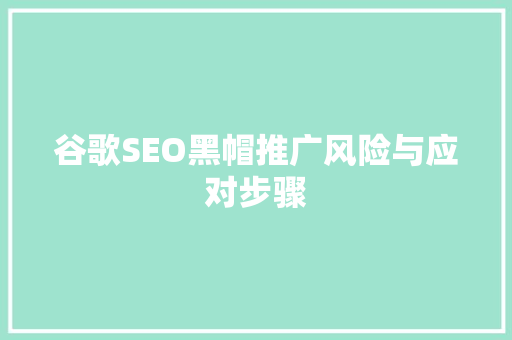 谷歌SEO黑帽推广风险与应对步骤