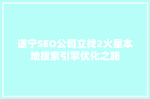 遂宁SEO公司立找2火星本地搜索引擎优化之路