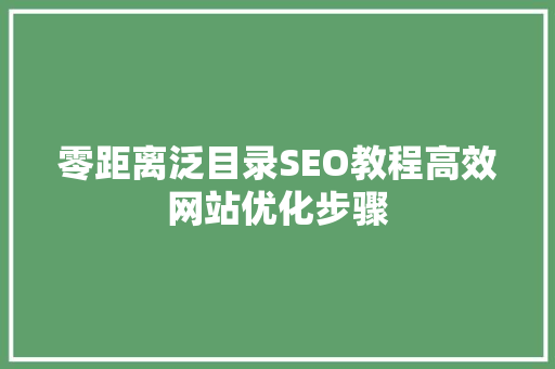 零距离泛目录SEO教程高效网站优化步骤