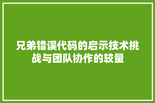 兄弟错误代码的启示技术挑战与团队协作的较量