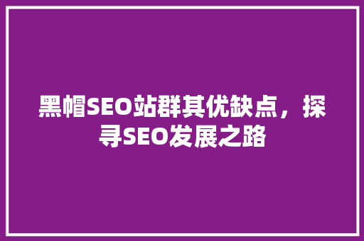 黑帽SEO站群其优缺点，探寻SEO发展之路