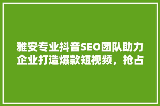 雅安专业抖音SEO团队助力企业打造爆款短视频，抢占市场先机