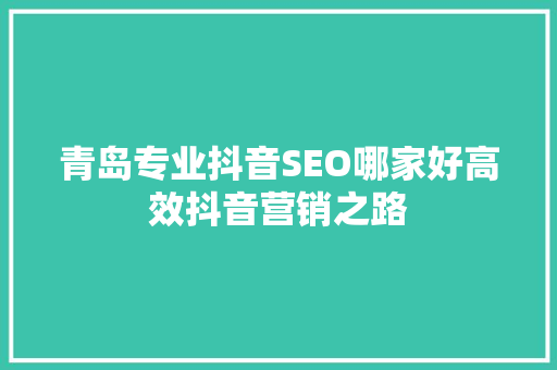 青岛专业抖音SEO哪家好高效抖音营销之路  第1张