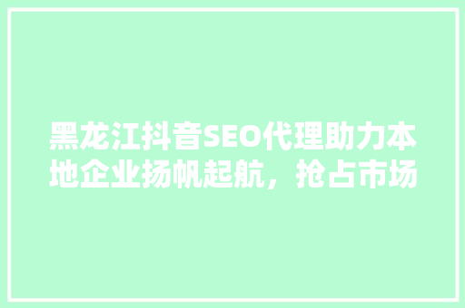 黑龙江抖音SEO代理助力本地企业扬帆起航，抢占市场先机
