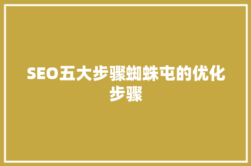 SEO五大步骤蜘蛛屯的优化步骤