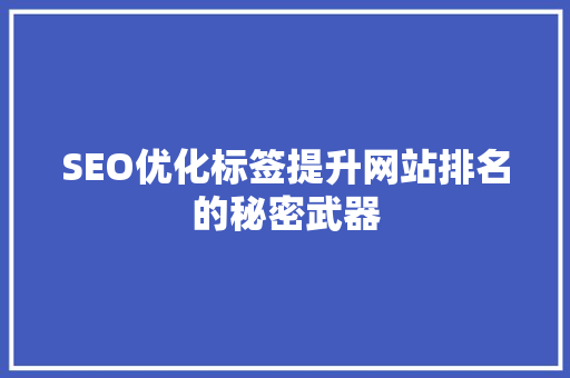 SEO优化标签提升网站排名的秘密武器