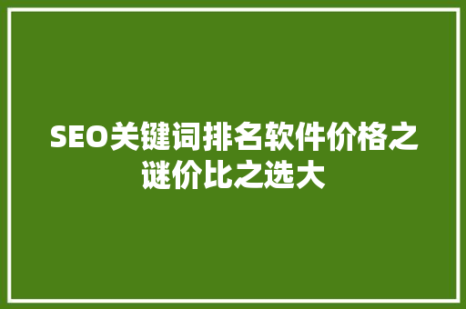 SEO关键词排名软件价格之谜价比之选大