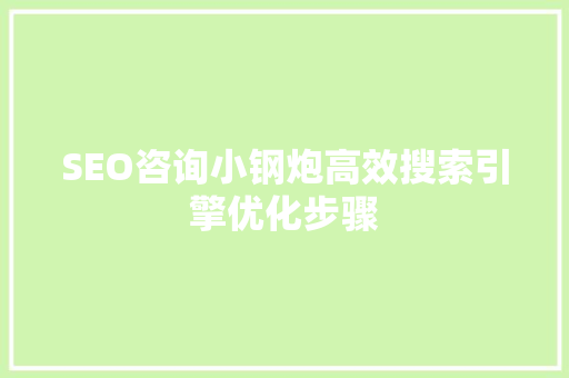 SEO咨询小钢炮高效搜索引擎优化步骤