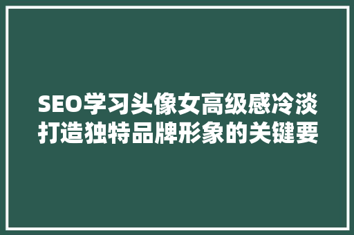SEO学习头像女高级感冷淡打造独特品牌形象的关键要素