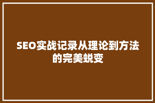 SEO实战记录从理论到方法的完美蜕变