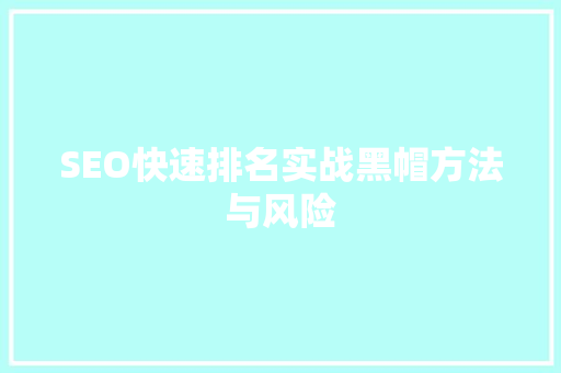 SEO快速排名实战黑帽方法与风险