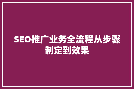 SEO推广业务全流程从步骤制定到效果